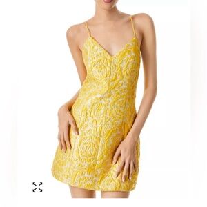 Alice and Olivia Tayla Structured mini dress size 8